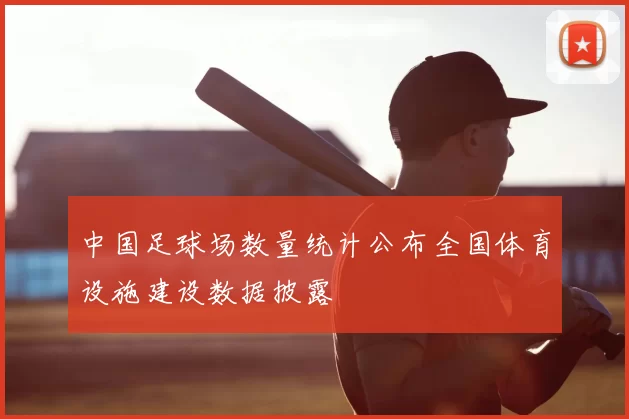 中国足球场数量统计公布全国体育设施建设数据披露